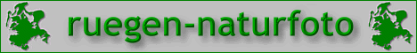 1063009147